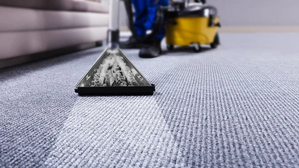 Steam carpet cleaning in chicago - Neptune Cleaning Inc.
