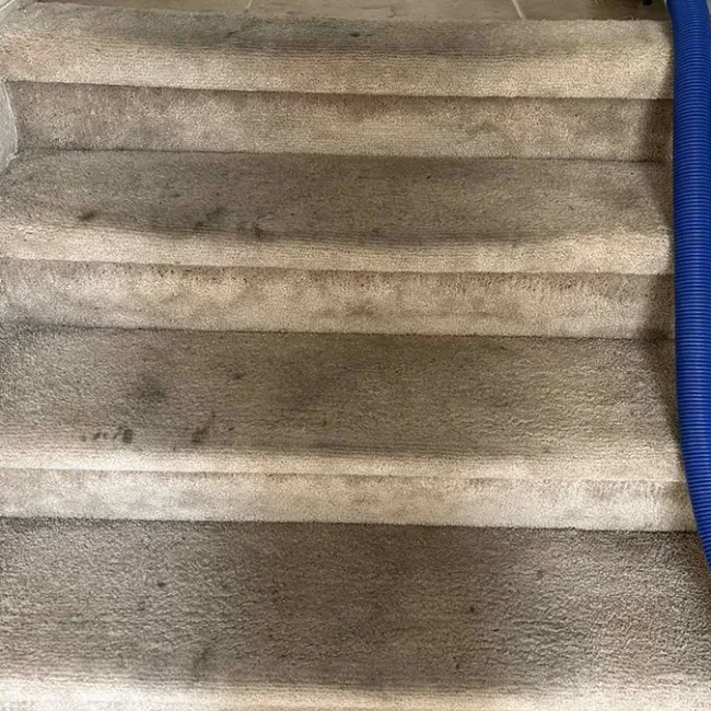 Carpet Before Cleaning 3 - Neptune Cleaning Inc
