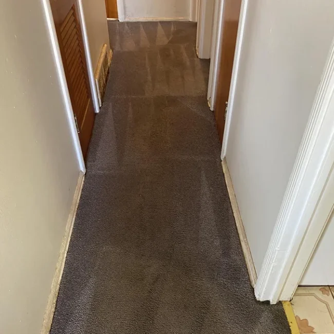 Carpet After Cleaning 3 - Neptune Cleaning Inc