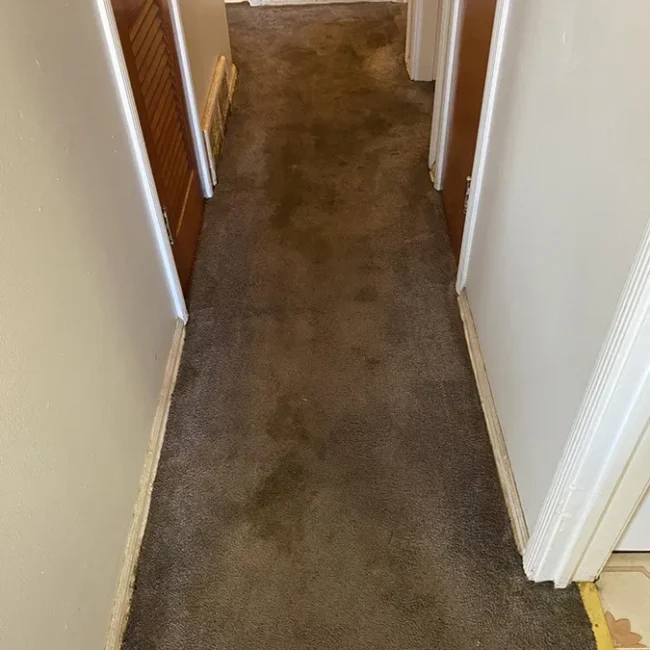 Carpet Before Cleaning 32 - Neptune Cleaning Inc