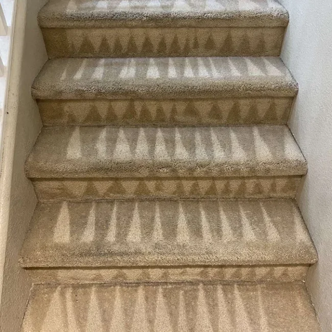 Carpet After Cleaning - Neptune Cleaning Inc
