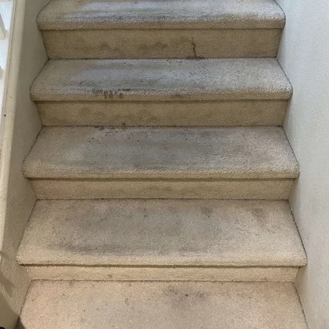 Carpet Before Cleaning - Neptune Cleaning Inc
