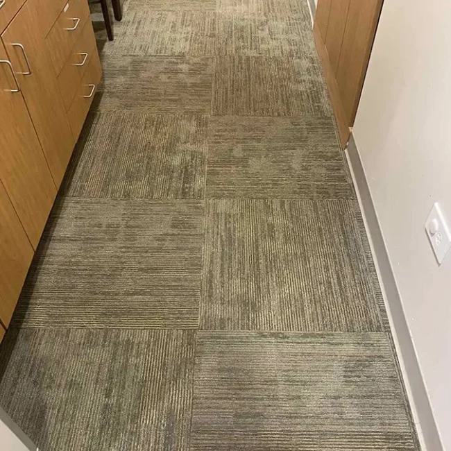 Carpet After Cleaning 2 - Neptune Cleaning Inc