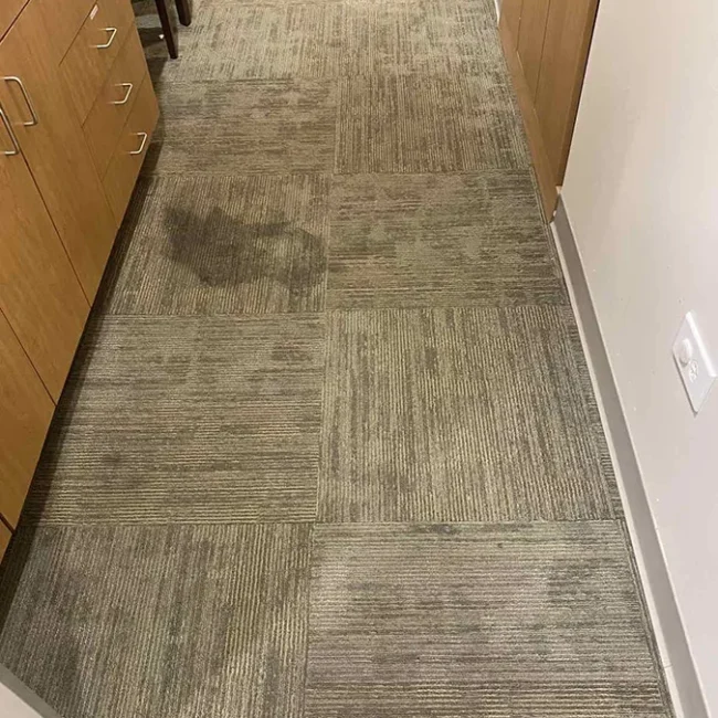 Carpet Before Cleaning 2 - Neptune Cleaning Inc