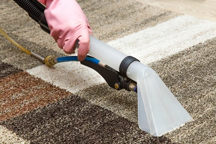 Area Rug Cleaning