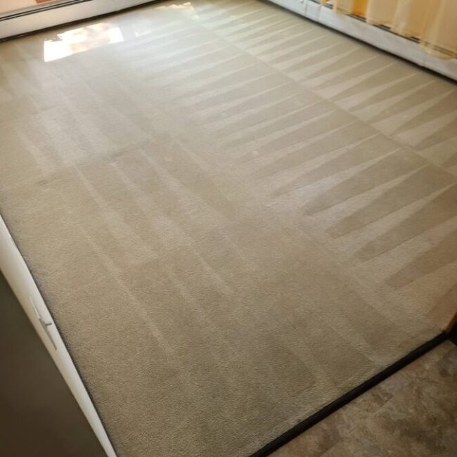 Carpet Cleaning After