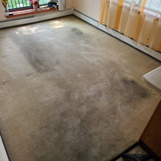 Carpet Cleaning - Before