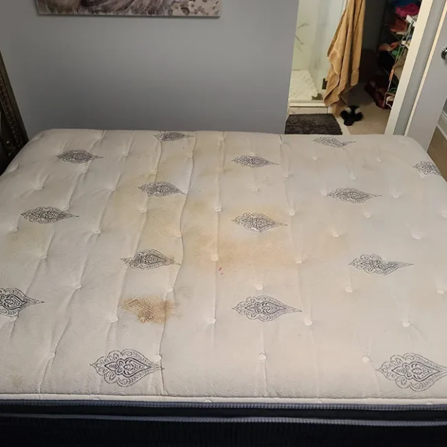 Mattress Before Cleaning 1 - Neptune Cleaning Inc