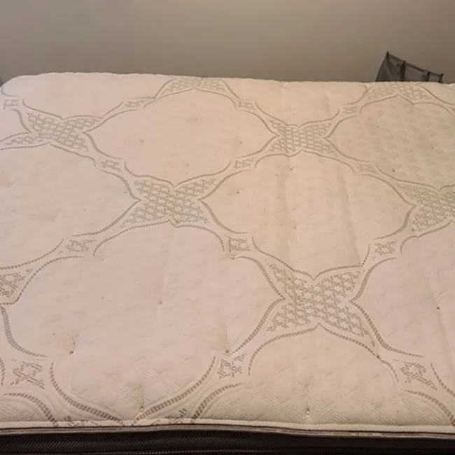 Mattress After Cleaning 3 - Neptune Cleaning Inc