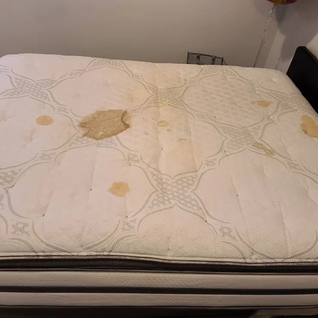Mattress Before Cleaning 3 - Neptune Cleaning Inc