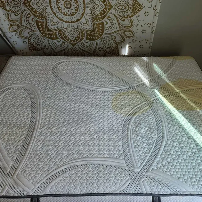 Mattress Before Cleaning 2 - Neptune Cleaning Inc