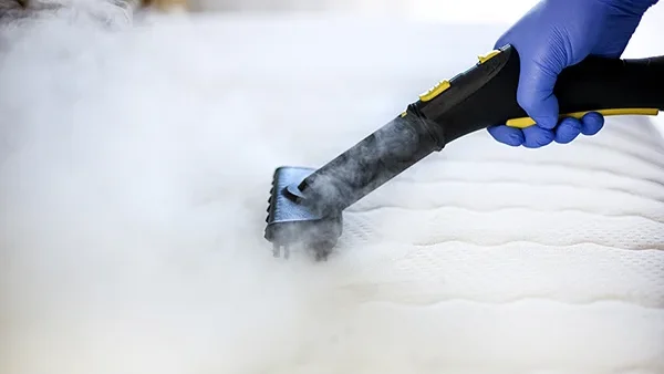 Mattress Cleaning Professional Carpet & Upholstery Cleaning in the Chicago