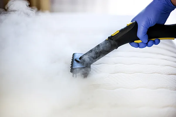 Mattress Cleaning Professional Carpet & Upholstery Cleaning in the Chicago
