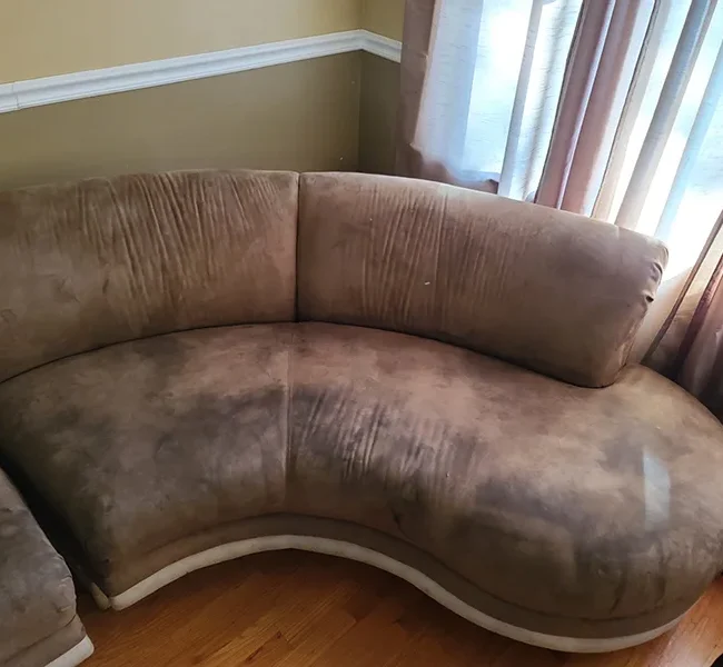 Upholstery After Cleaning - Neptune Cleaning Inc