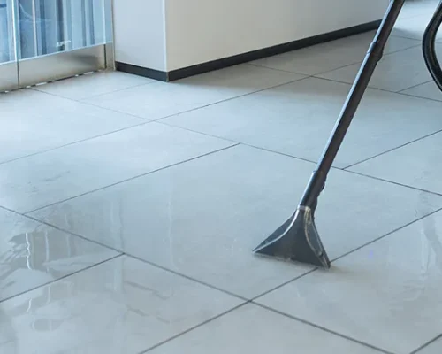 Tile Grout Cleaning - Professional Carpet & Upholstery Cleaning in the Chicago