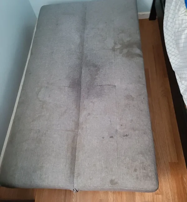 Upholstery Before Cleaning - Neptune Cleaning Inc