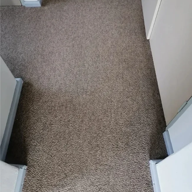 Carpet cleaning service after Neptune Cleaning process 1