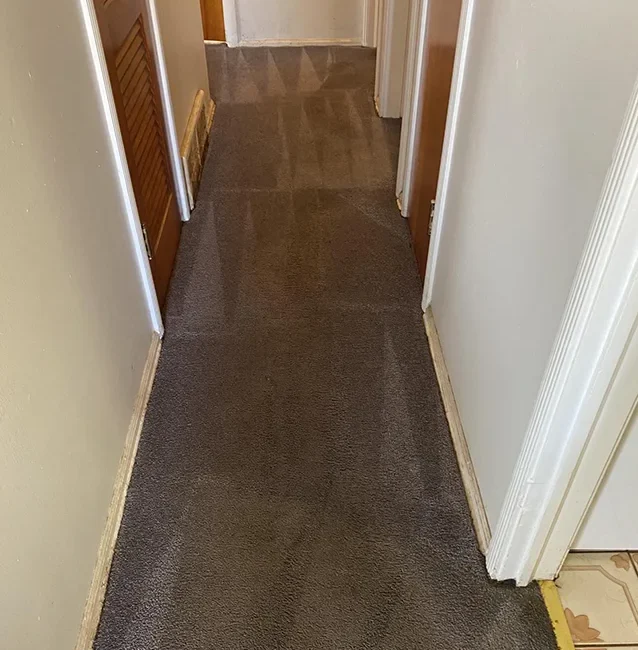 Carpet cleaning service after Neptune Cleaning process 2