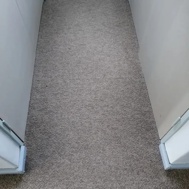Carpet cleaning service after Neptune Cleaning process 3