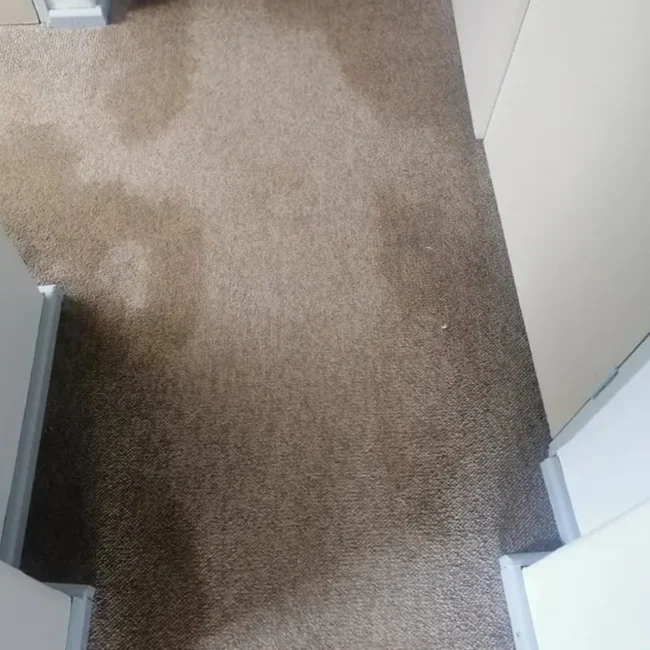 Carpet cleaning service before Neptune Cleaning process 1