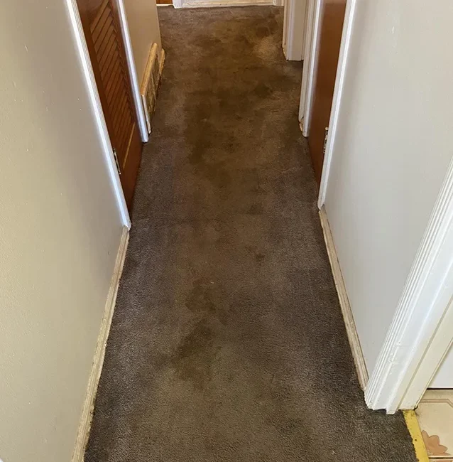 Carpet cleaning service before Neptune Cleaning process 2