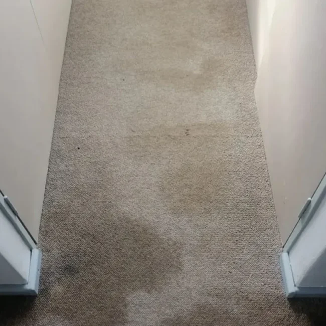 Carpet cleaning service before Neptune Cleaning process 3