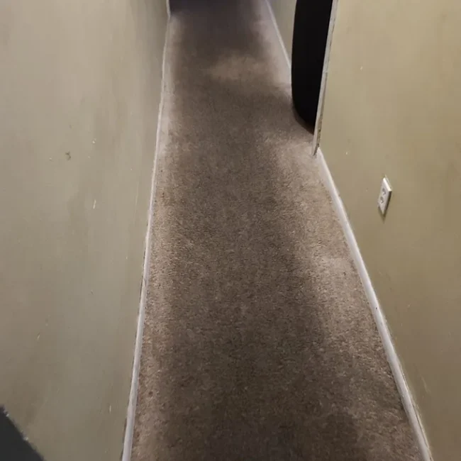 Carpet cleaning service before Neptune Cleaning process 4