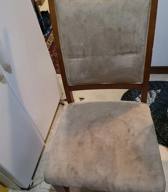 Upholstery cleaning service before Neptun Celaning service cleaning 3